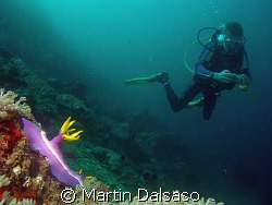 Taken in Sabang, PI- Dive buddy Boris waiting his turn to... by Martin Dalsaso 